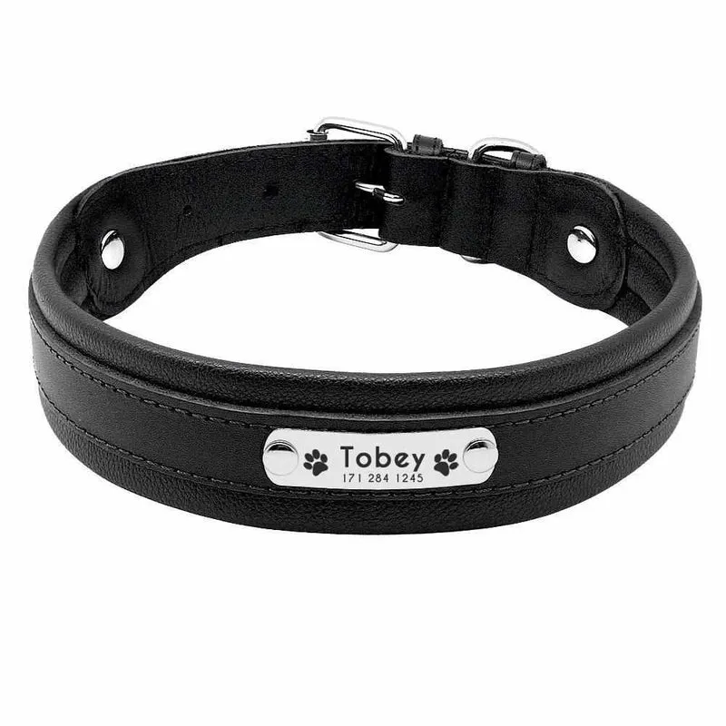 Mehrfarbiges Hundehalsband mit Namen aus Leder, gratis Gravur
