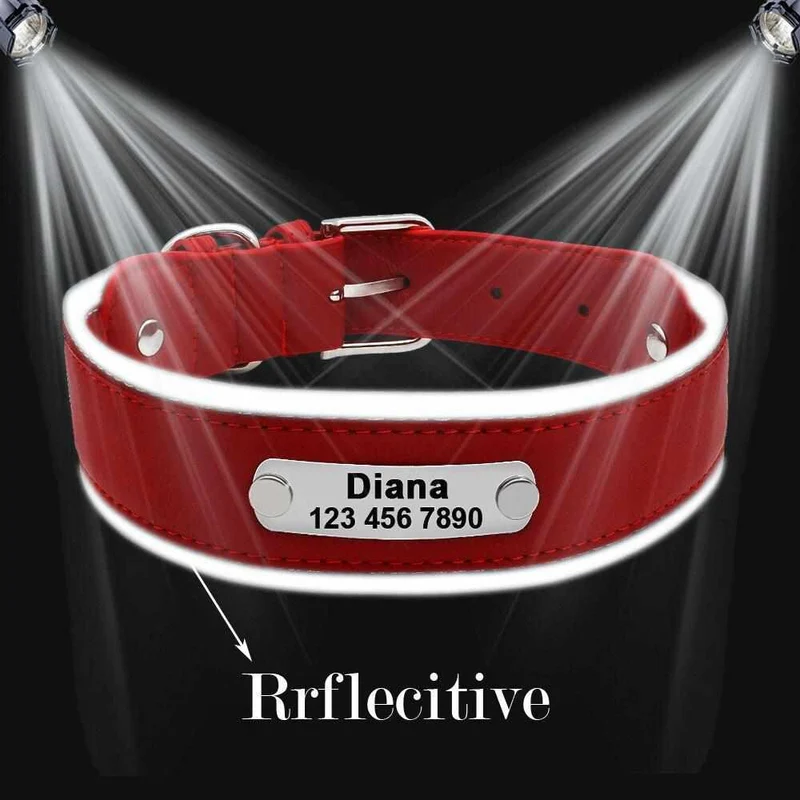 Extra breites personalisiertes Hundehalsband mit Namen und reflektierendem Rand
