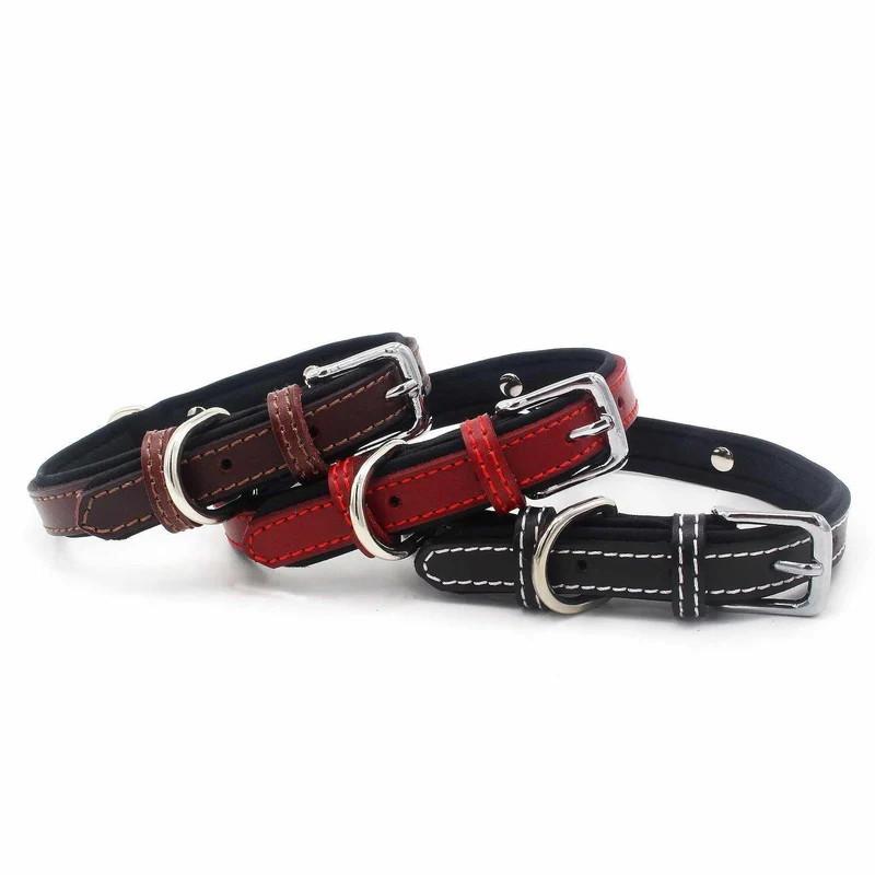 Hundehalsband mit Namen aus hochwertigem Leder, Innenpolsterung aus Neopren, 2 massive D-Ringe