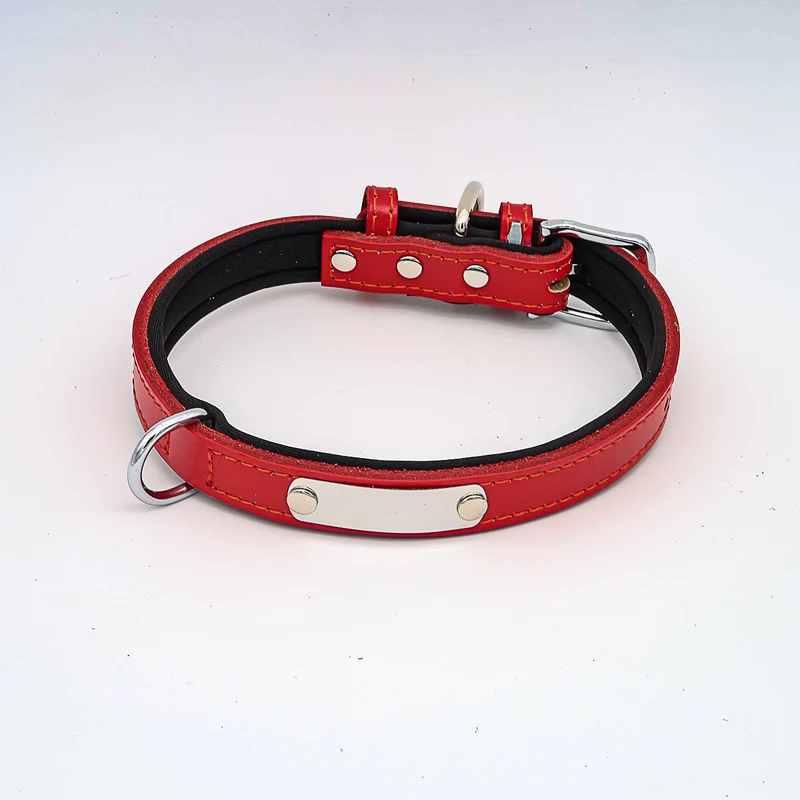 Hundehalsband mit Namen aus hochwertigem Leder, Innenpolsterung aus Neopren, 2 massive D-Ringe
