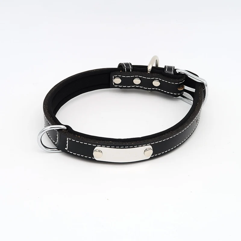 Hundehalsband mit Namen aus hochwertigem Leder, Innenpolsterung aus Neopren, 2 massive D-Ringe