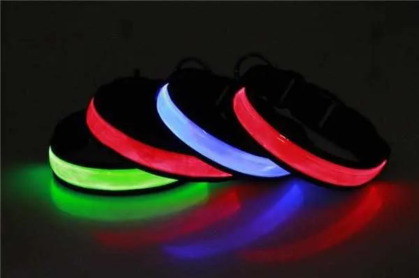 LED Hundehalsband, Stabiles Nylon mit USB Anschluß