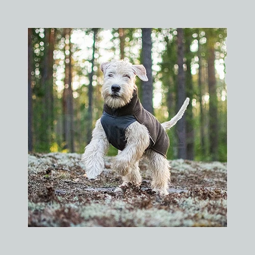 Hundepullover Jumppa