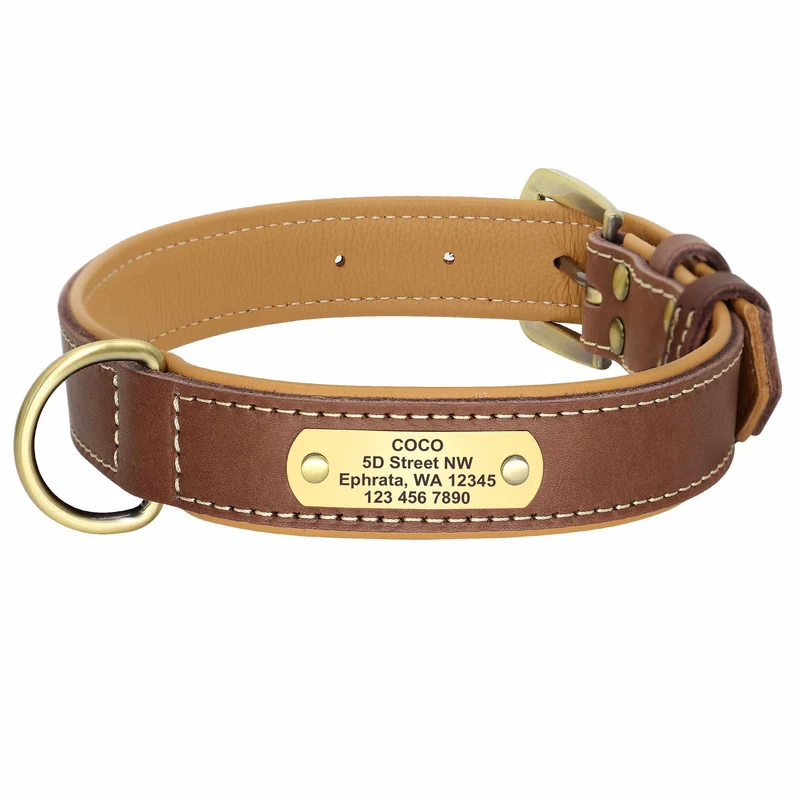 Exklusives Leder Hundehalsband mit Namen und Telefon graviert