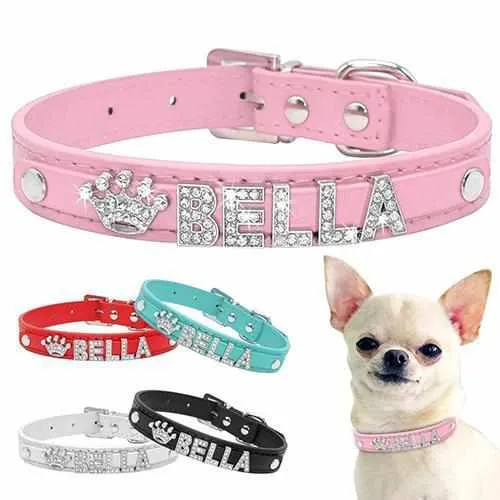 Edles Hundehalsband personalisiert mit Glitzersteinen + Symbol