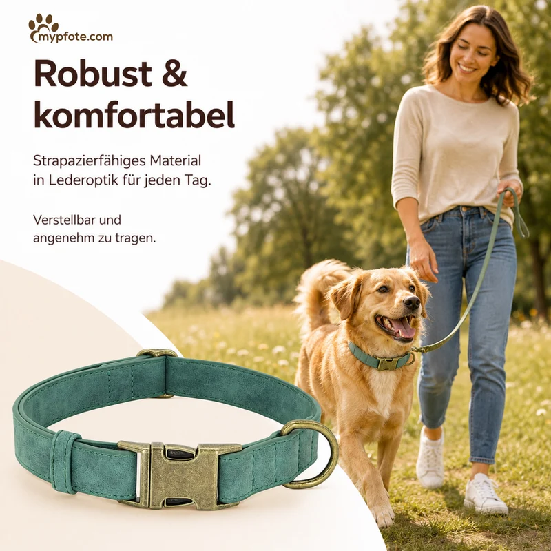 Edles Hundehalsband im Vintagelook mit Messingschnalle und kostenloser Gravur Name und Telefon