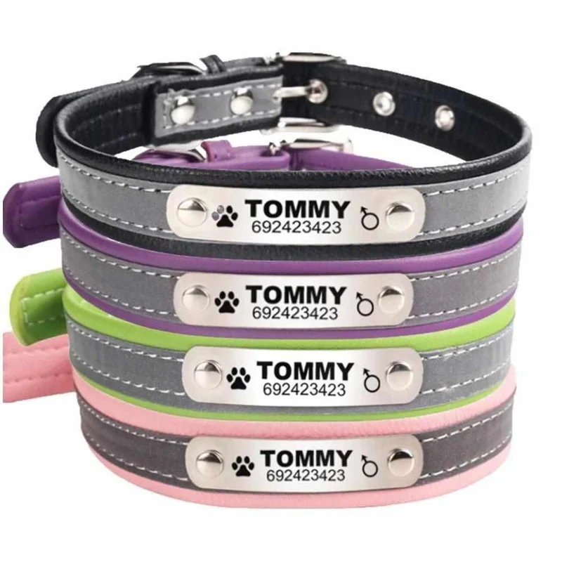 Hundehalsband mit Namen und Telefon graviert. Reflektierend