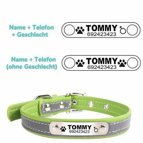 Hundehalsband mit Namen und Telefon graviert. Reflektierend