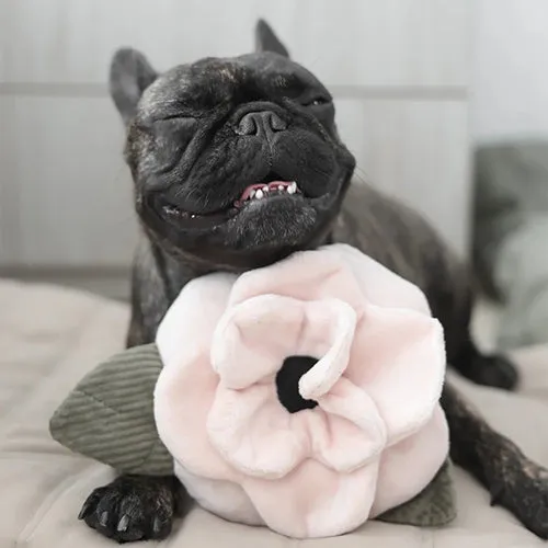 Schnüffelspielzeug POPPY Mohnblume