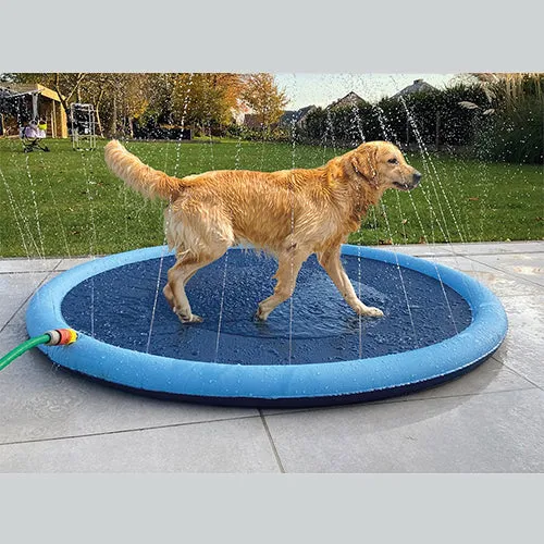 Splash Hundepool