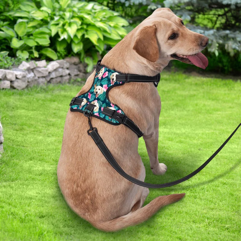 Hundegeschirr personalisiert Hawaii Style - Geschenke für Tierliebhaber