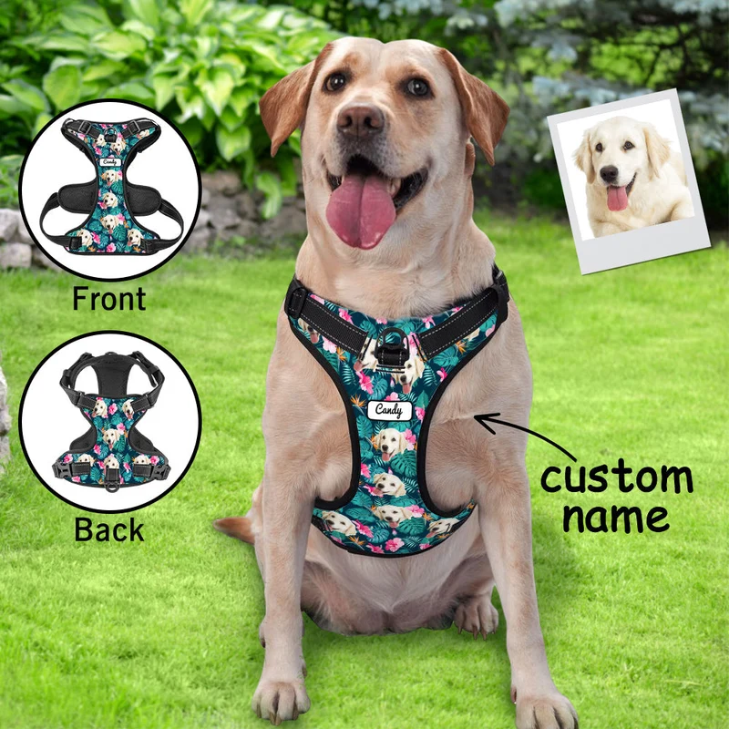 Hundegeschirr personalisiert Hawaii Style - Geschenke für Tierliebhaber