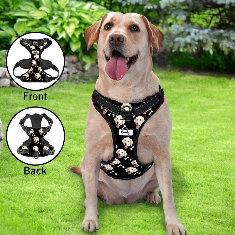 Hundegeschirr Einstellbare reflektierende Weste personalisiert