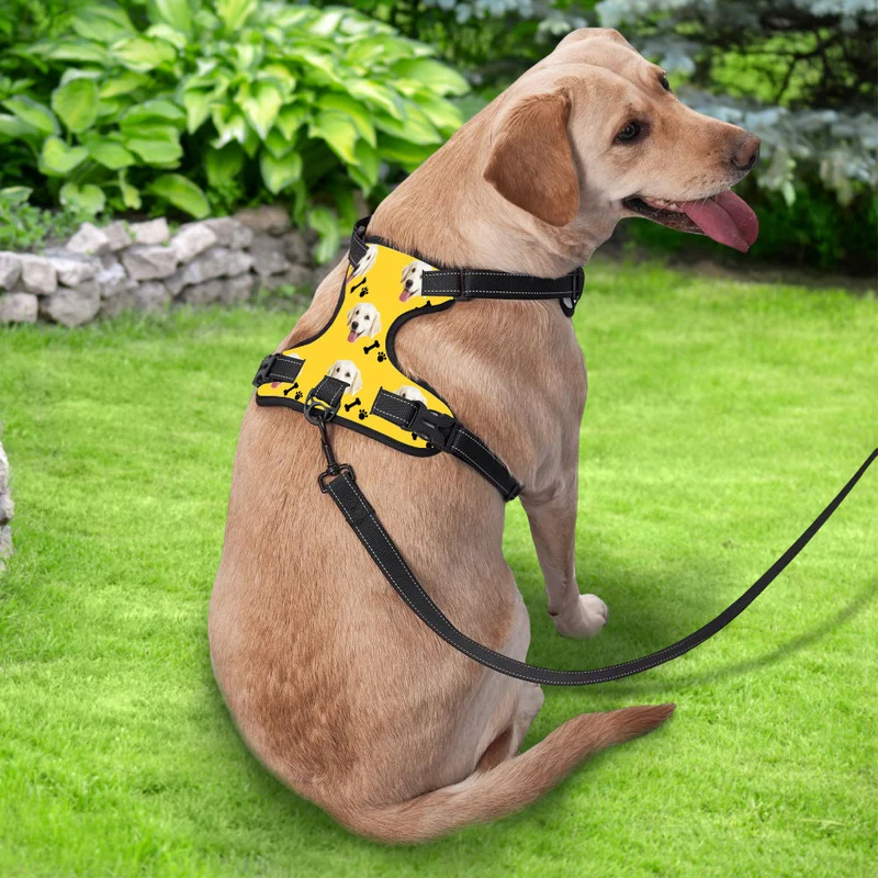 Hundegeschirr Einstellbare reflektierende Weste personalisiert