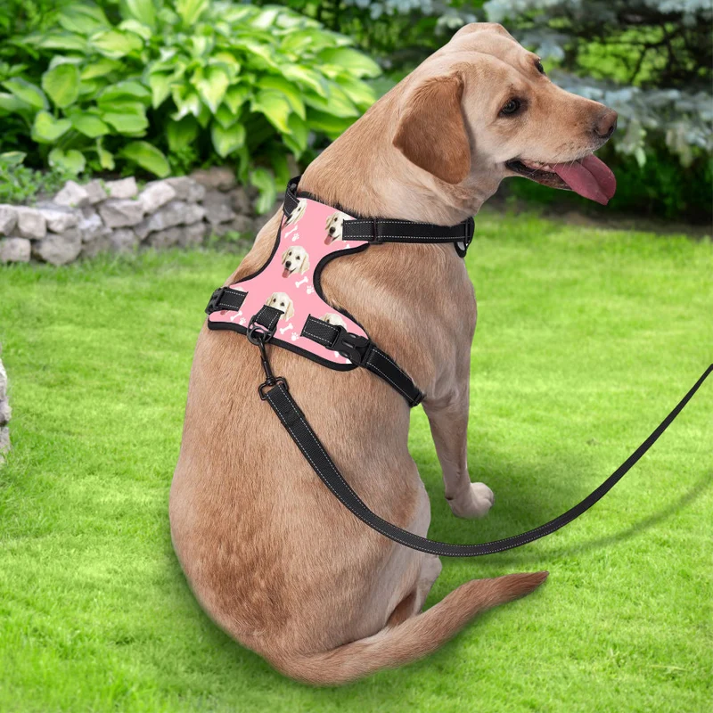 Hundegeschirr Einstellbare reflektierende Weste personalisiert