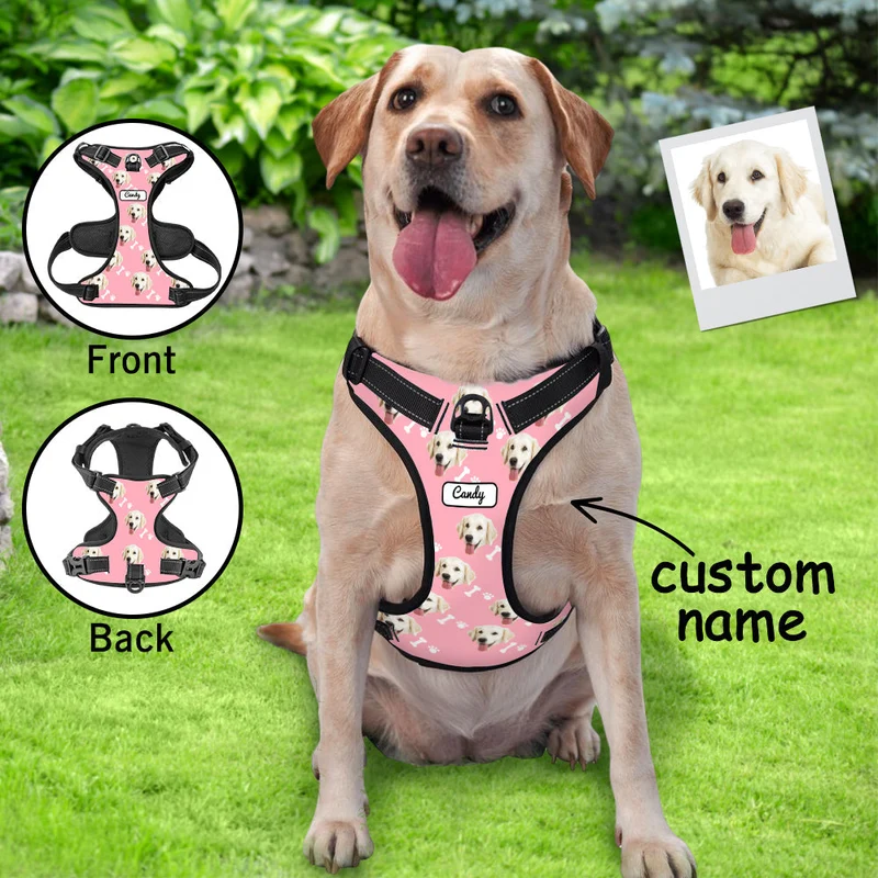 Hundegeschirr Einstellbare reflektierende Weste personalisiert