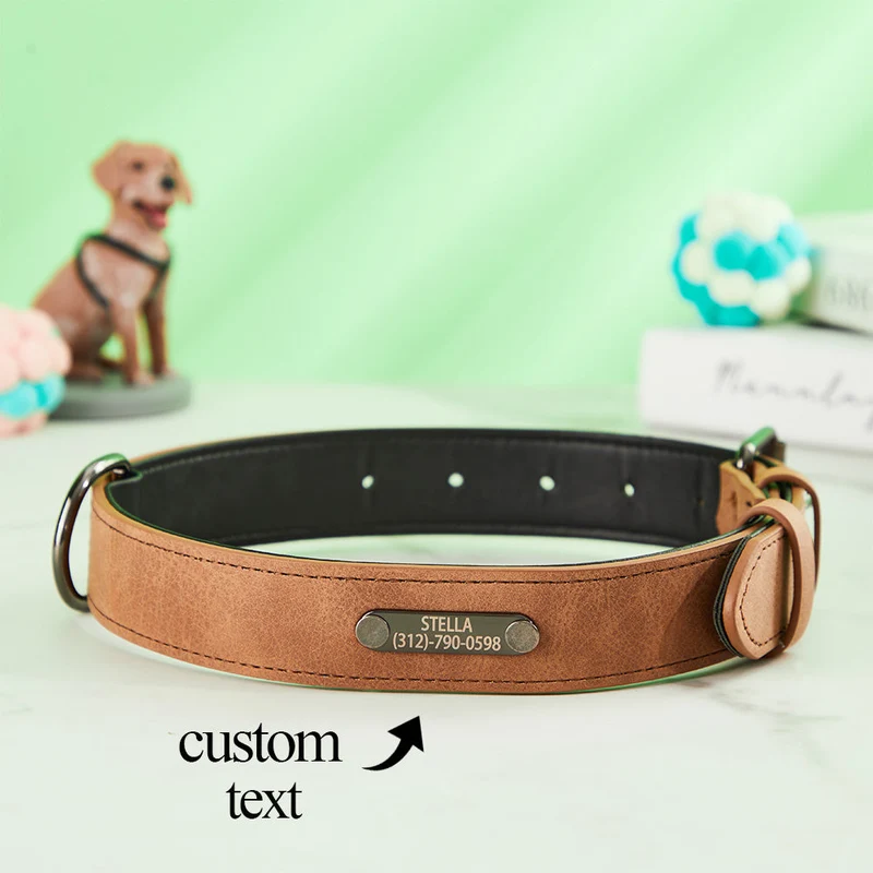 Leder Hundehalsband Personalisiert - Geschenk für Tierliebhaber
