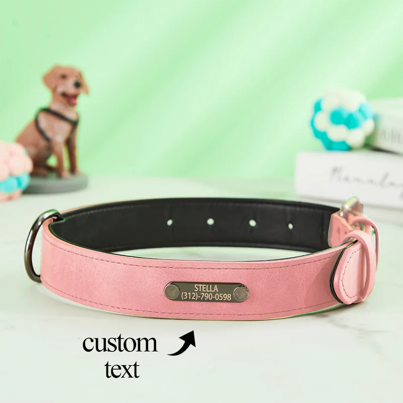 Leder Hundehalsband Personalisiert - Geschenk für Tierliebhaber