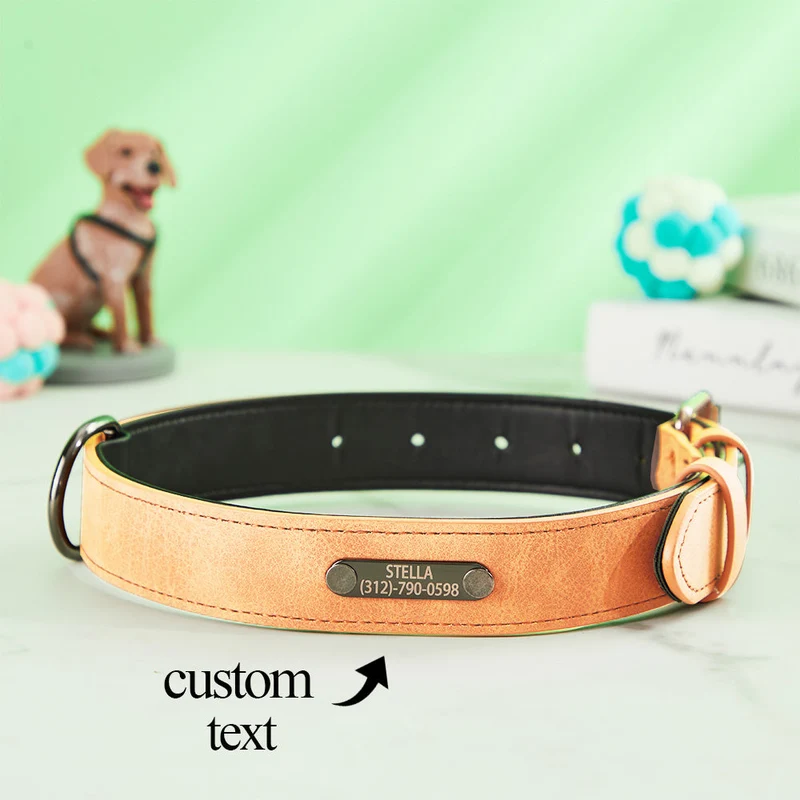 Leder Hundehalsband Personalisiert - Geschenk für Tierliebhaber