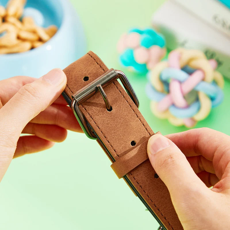 Leder Hundehalsband Personalisiert - Geschenk für Tierliebhaber