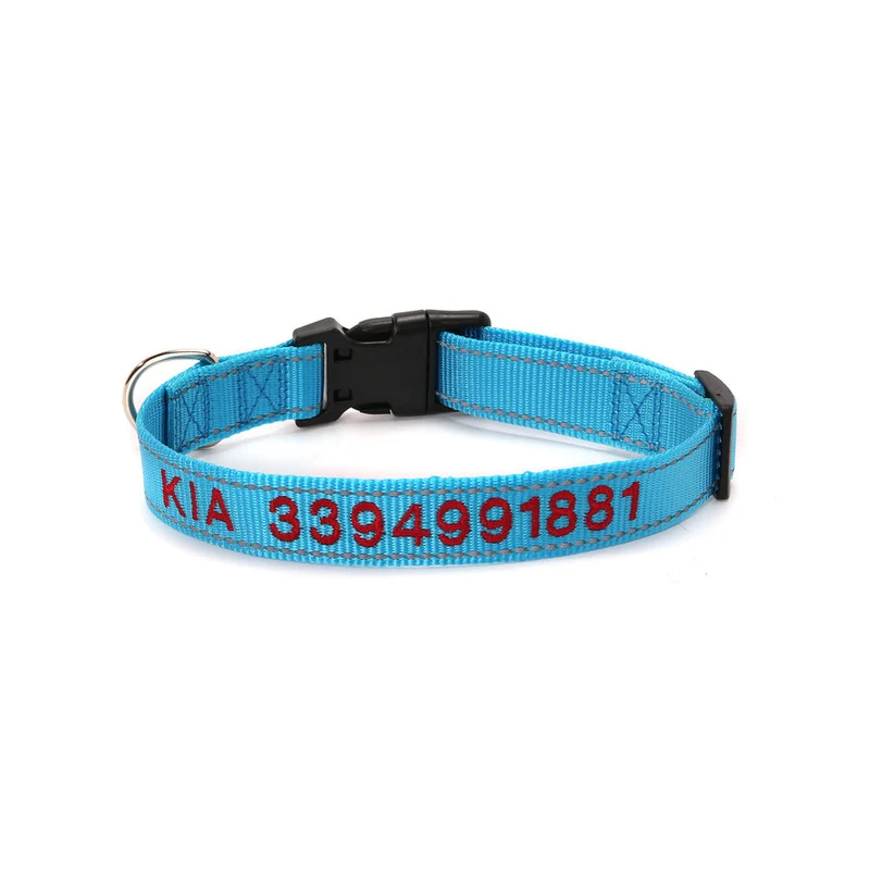 Personalisiertes Hundehalsband für Hundeleine
