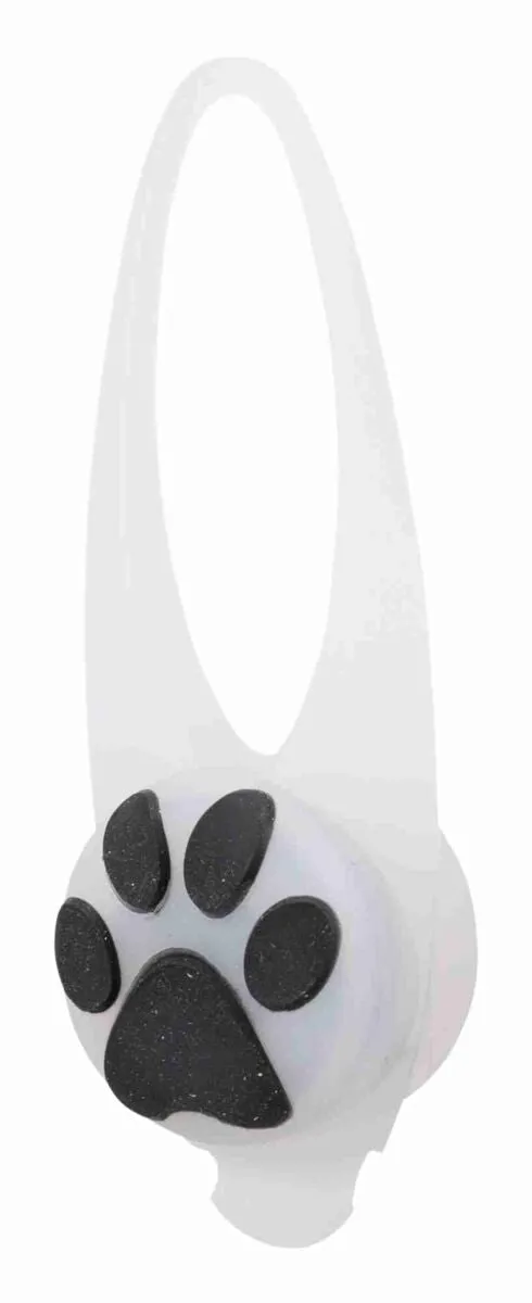 Flasher für Hunde