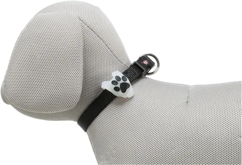 Flasher für Hunde