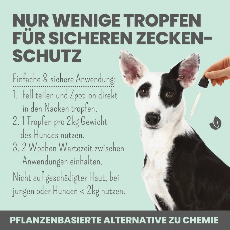 noms+ Zpot-on für Hunde gegen Zecken, Flöhe, Milben & Mücken