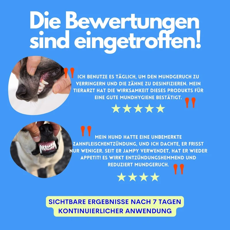 Kiss Me - Natürliches Zahnspray gegen Maulgeruch für Hunde 100g VEGAN