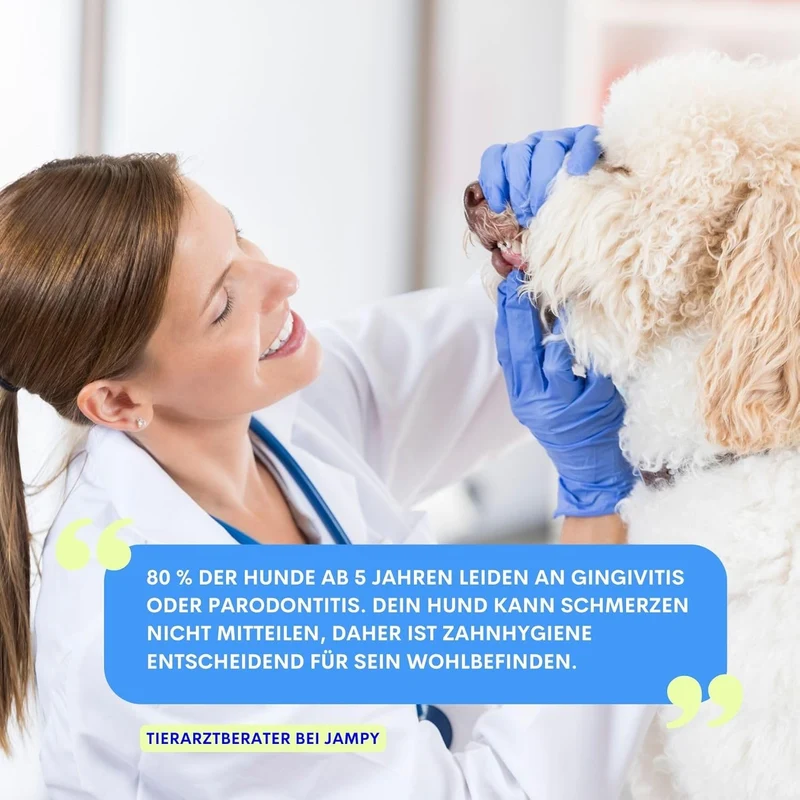 Kiss Me - Natürliches Zahnspray gegen Maulgeruch für Hunde 100g VEGAN