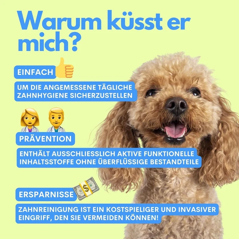 Kiss Me - Natürliches Zahnspray gegen Maulgeruch für Hunde 100g VEGAN