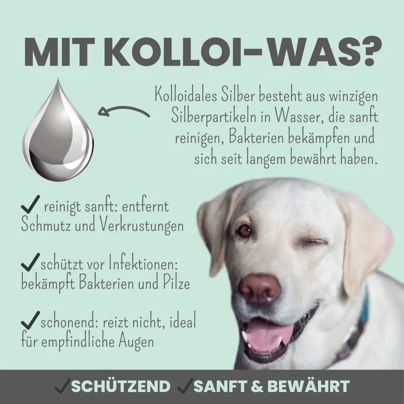 noms+ 2-in-1 Augenfein Reinigung & Pflege für Hunde & Katzen mit kolloidalem Silber