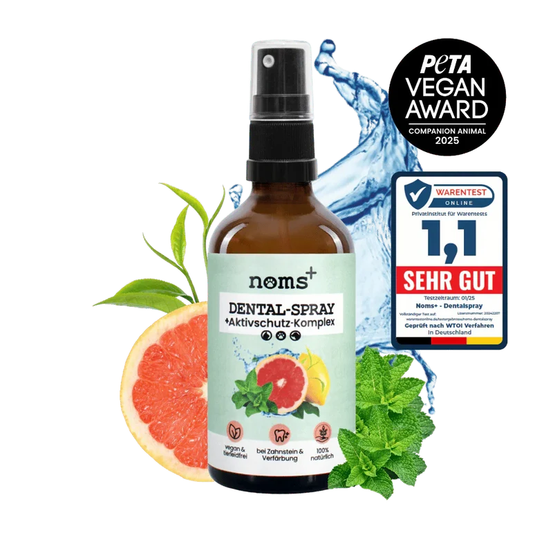 noms+ Dentalspray bei Zahnstein für Hunde und Katzen