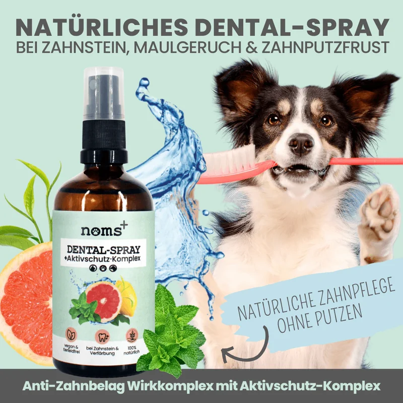 noms+ Dentalspray bei Zahnstein für Hunde und Katzen