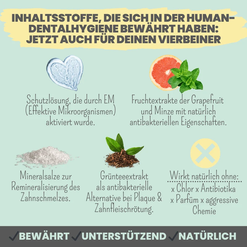 noms+ Dentalspray bei Zahnstein für Hunde und Katzen
