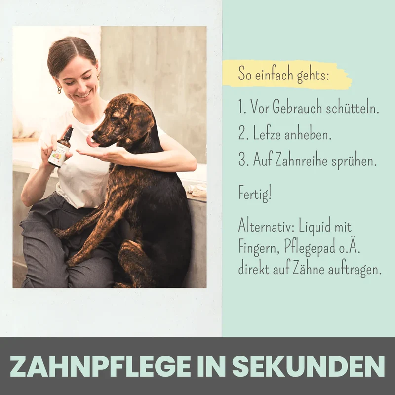 noms+ Dentalspray bei Zahnstein für Hunde und Katzen