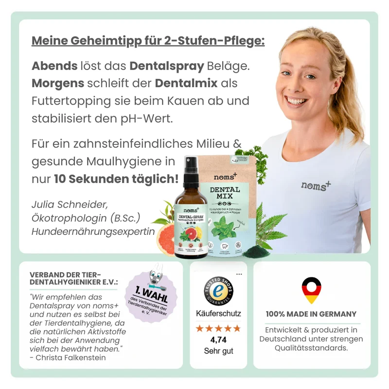noms+ Dentalspray bei Zahnstein für Hunde und Katzen