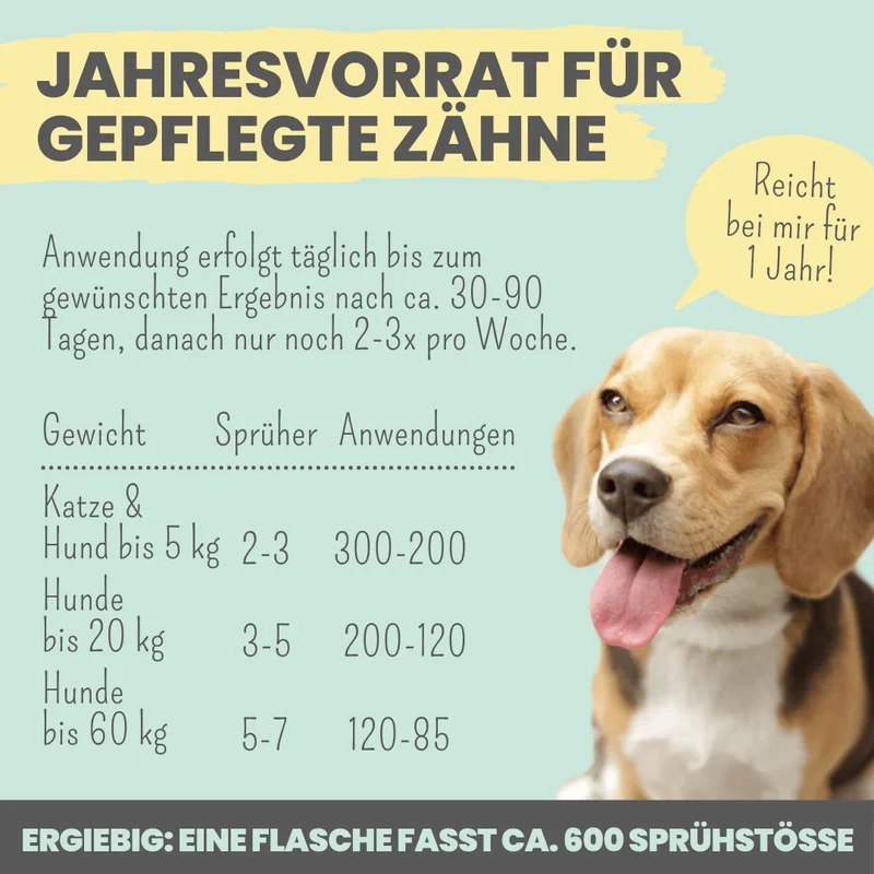 noms+ Dentalspray bei Zahnstein für Hunde und Katzen