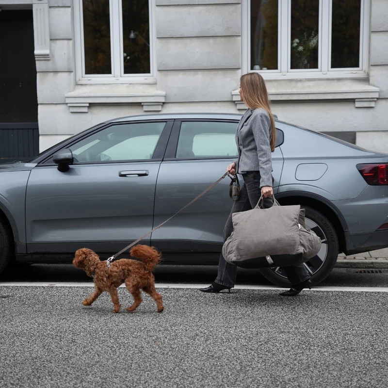 Autositz Lara | Taupe 2.0
