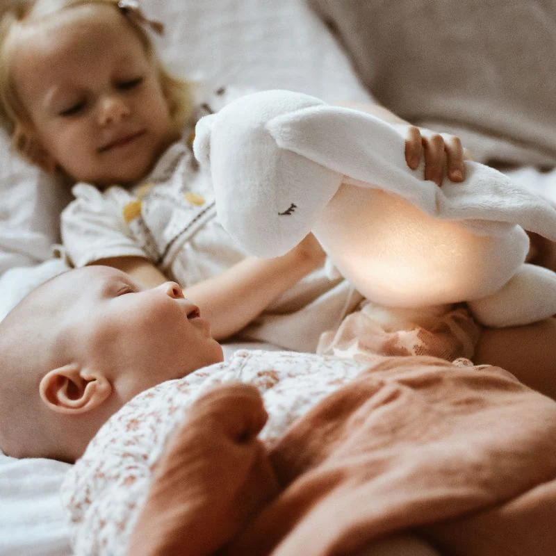 Rauschendes Kaninchen mit Lampe Basic 2.0 – Cream
