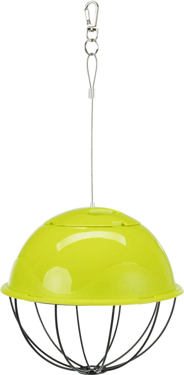 Food-Ball