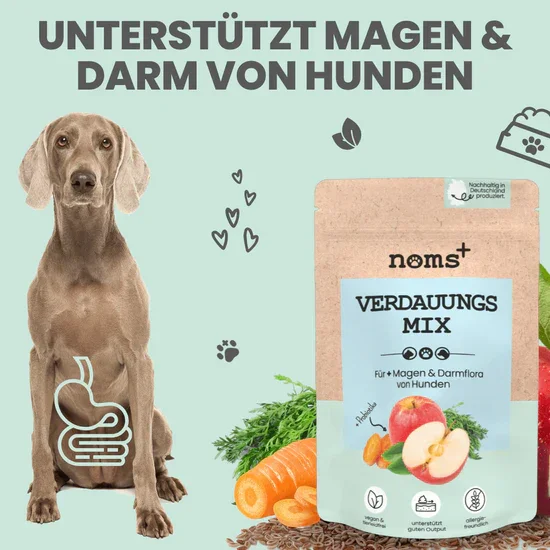 Noms+ Verdauungsmix für Hunde | Hilfe bei Durchfall | Für gesunde Darmfunktion | 100% vegan & tierleidfrei