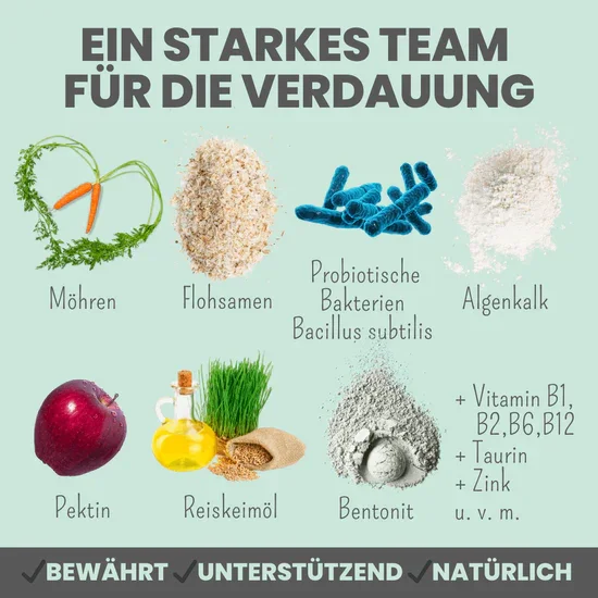 Noms+ Verdauungsmix für Hunde | Hilfe bei Durchfall | Für gesunde Darmfunktion | 100% vegan & tierleidfrei