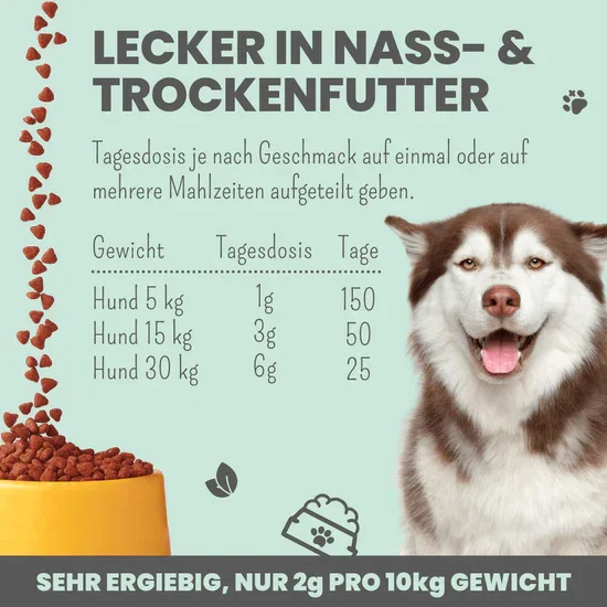 Noms+ Verdauungsmix für Hunde | Hilfe bei Durchfall | Für gesunde Darmfunktion | 100% vegan & tierleidfrei