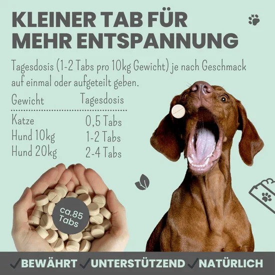 Noms+ Wohlfühltabs für Hunde & Katzen | Bei Stress, Angst, Unruhe & Hyperaktivität | 100% vegan & tierleidfrei | 130g