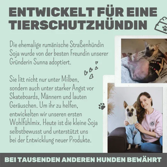 Noms+ Wohlfühltabs für Hunde & Katzen | Bei Stress, Angst, Unruhe & Hyperaktivität | 100% vegan & tierleidfrei | 130g