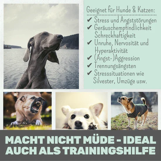 Noms+ Wohlfühltabs für Hunde & Katzen | Bei Stress, Angst, Unruhe & Hyperaktivität | 100% vegan & tierleidfrei | 130g