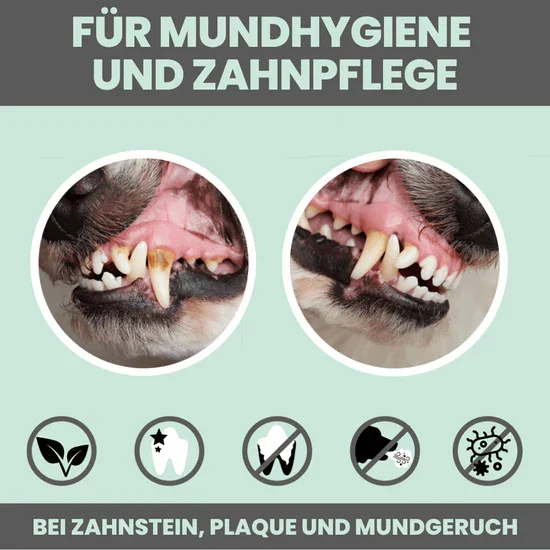 Noms+ Dentalmix für Hunde | Bei Plaque & Zahnstein | Rein Pflanzlich & frischer Atem | 100% vegan & tierleidfrei