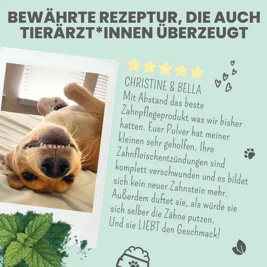 Noms+ Dentalmix für Hunde | Bei Plaque & Zahnstein | Rein Pflanzlich & frischer Atem | 100% vegan & tierleidfrei