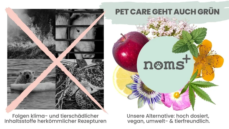 Noms+ Dentalmix für Hunde | Bei Plaque & Zahnstein | Rein Pflanzlich & frischer Atem | 100% vegan & tierleidfrei